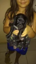 Não tem