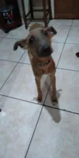 Kimo