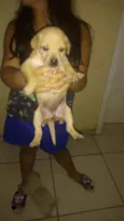 Não tem