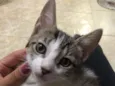 Suzi