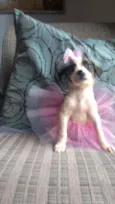 Linda