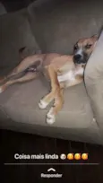 Tomas 
