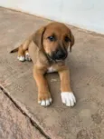 LB