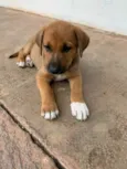 LB