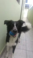 Tina