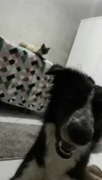 Tina