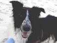Tina