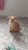 Dondoca