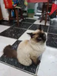 Valter