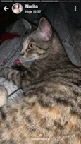 Juju