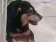 Não sei o nome