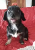 Belinha 