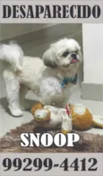 Snoop