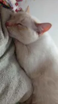 Pépe