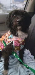 Nina