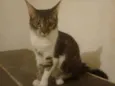 Johnny