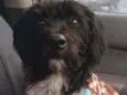 Nina