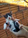 Não tem nome 