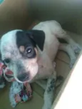 Moly