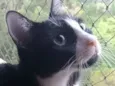 Joao