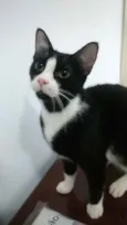 Joao