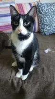 Joao