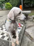 Billy