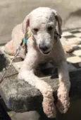 Billy