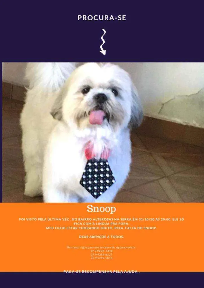 Cachorro raça Shihtzu idade 4 anos nome Snoopy