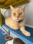 Nina 