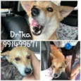 DRIKA