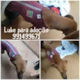LUKE