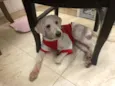 Billy