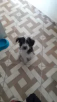 Rossi