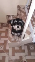 Sofia