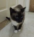 Mila