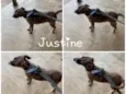 JUSTINE 