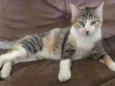 Kezia
