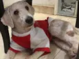 Billy