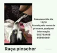 Princesa 