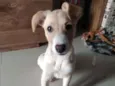 Mel