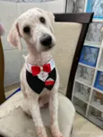 Billy
