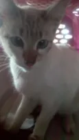 Bebê