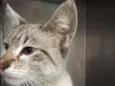 Bebê