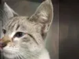Bebê