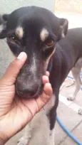 Ela nao tem