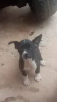Zezo
