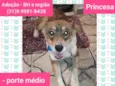 Princesa