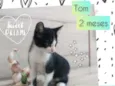 Tom