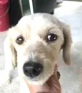 Julie